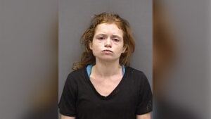 Rebecca Louise Gussage-Johnston mugshot