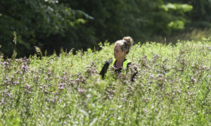 A police officer in a vest walks through tall grass.