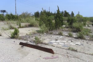 Trees grow up through the cracked cement, Wednesday, July 27, 2023, in Egg Harbor Township, N.J.