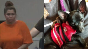 combo image of Kielee Sonnemann and dog