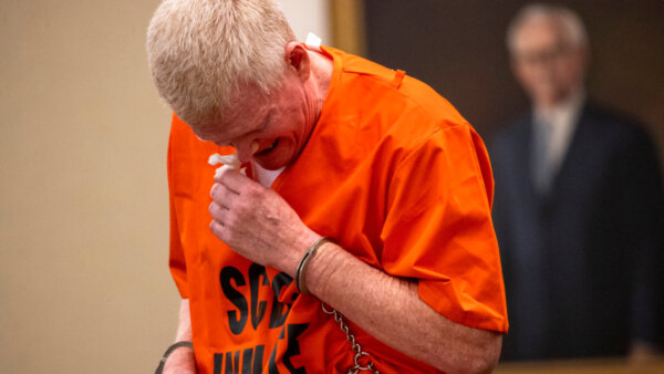 alex murdaugh appears in court