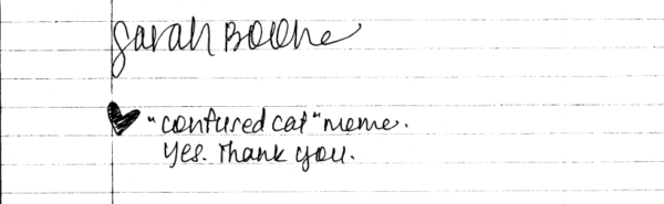 sarah boone's signature a heart and note saying "confused cat" meme. yes. thank you