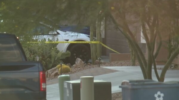 car seen in driveway