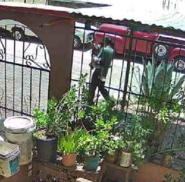 A man and child are seen in an image captured by a ring camera