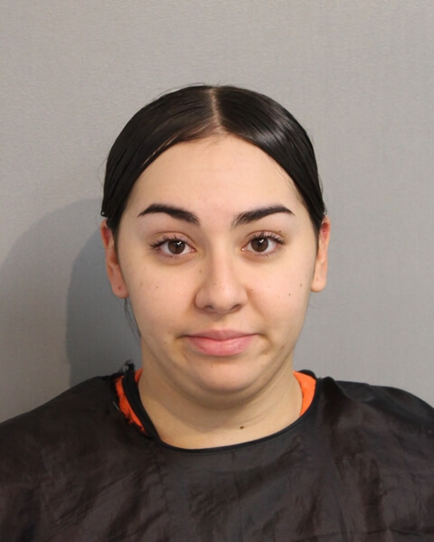 Booking photo of Brianna Alvelo