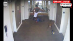 diddy and cassie ventura hotel video