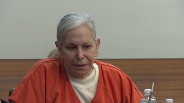 Donna Adelson in court