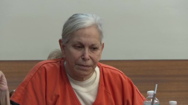 Donna Adelson in court