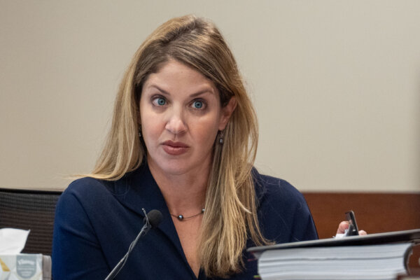 Wendi Adelson in court