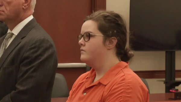 elena bardin appears in court