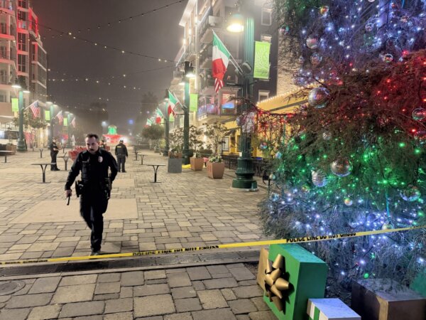 Little Italy took place in a busy public area