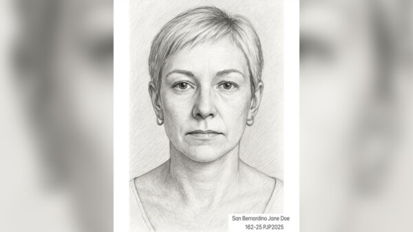 A Jane Doe sketch later identified as Aryan Papoli