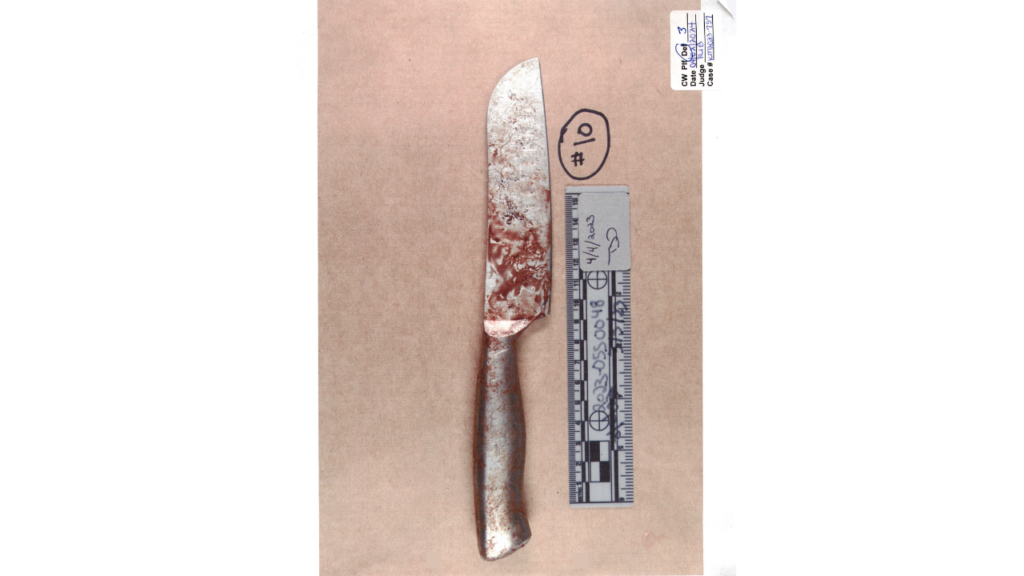 Blood-stained knife