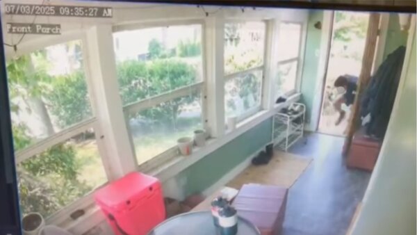 man breaking into house on surveillance video
