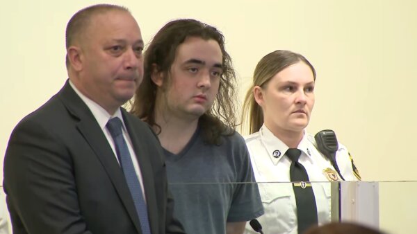 Anthony DeMayo appears in court