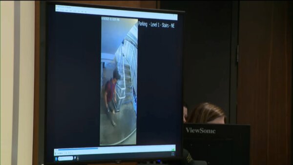 Tyler Robinson surveillance